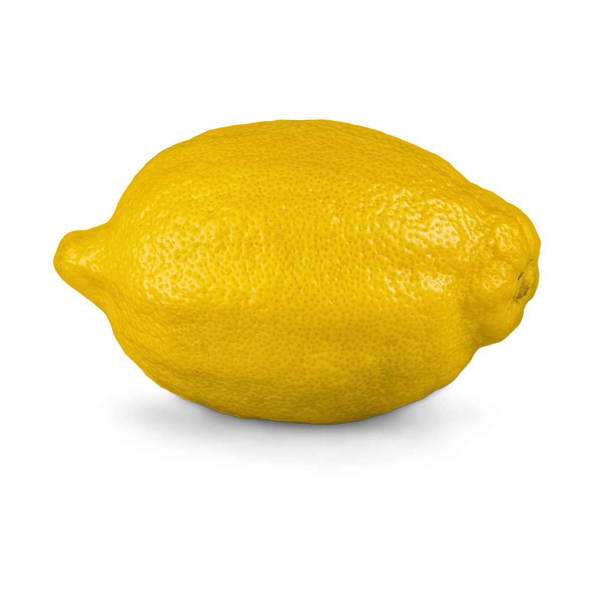 Untitled design (12)